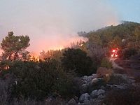 Пожар в Иерусалимских горах. 25.11.2016
