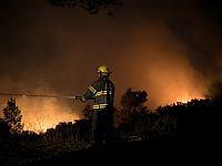 Возобновился лесной пожар около поселка Долев