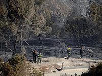 Предварительная оценка ущерба от пожаров в Хайфе - 500 млн шекелей