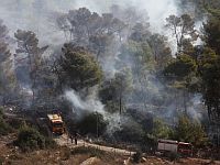 Тушение пожара в районе поселка Халамиш. 26 ноября 2016 года
