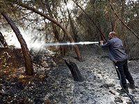 Продлены аресты четверых израильских арабов, подозреваемых в поджогах лесов