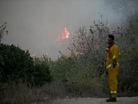 На подстанции в районе Рамле вспыхнул пожар, на юге горит кустарник  