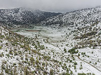 На вершине Хермона продолжается снегопад, горный курорт пока закрыт для посетителей    