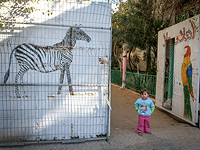 Зоопарк в Рафахе, сектор Газы. Январь 2017 года