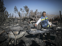 Последствия лесного пожара в поселке Натаф