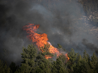 Лесной пожар около Неве-Илан