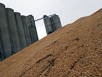 США поставят Иордании 100.000 тонн пшеницы