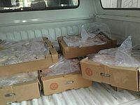 Полиция уничтожила 3,5 тонны контрабандного мяса