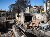 Халамиш после лесного пожара. 26 ноября 2016 года
