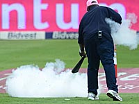 Пчелы прервали крикетный матч сборных ЮАР и Шри-Ланки