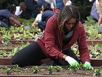 Мишель Обама в огороде возле Белого дома  