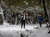Метеобюро подтверждает прогноз о снегопаде в горах севера и центра страны  