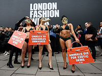 Неделя высокой моды в Лондоне началась с протеста защитниц крокодилов