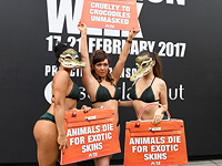 Акция PETA в Лондоне. 17 февраля 2017 года