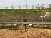 На границе сектора Газы обнаружены взрывные устройства, установленные боевиками  