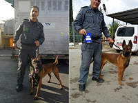 Полиция Израиля получила 24 служебных собаки из Чехии