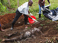 В Конго обнаружены 17 братских могил: ООН грозит правительству судом в Гааге    