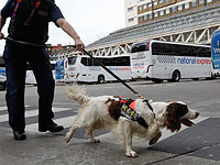 Автовокзал Victoria в Лондоне эвакуирован в связи с обнаружением подозрительного предмета