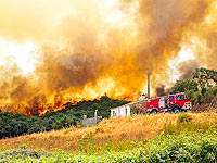 Число жертв лесных пожаров в Португалии превысило 40 человек

