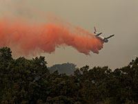 В Португалии разбился пожарный самолет иностранного государства  