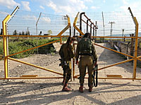 30 единиц огнестрельного оружия похищены с военной базы на юге Израиля  