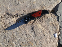 Теракт на Храмовой горе в Иерусалиме: убиты двое полицейских, нападавшие застрелены