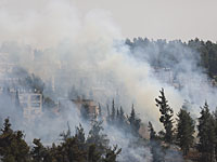 Пожарная служба борется с двумя очагами возгорания в Иерусалиме