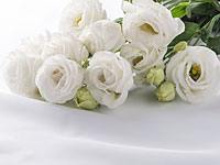 Семья покойного просит, чтобы желающие проводить певца в последний путь, приходили только в белых одеждах и приносили белые цветы