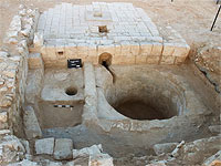 В Негеве обнаружена давильня для производства вина, которой насчитывается 1600 лет