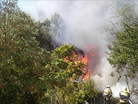 Пожар в Ростове-на-Дону. 21 августа 2017 года