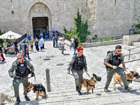 Задержаны 72 участника беспорядков на Храмовой горе  