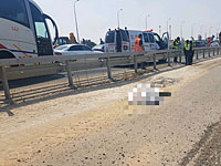 Трактор задавил насмерть пешехода на развязке Хоф а-Шарон