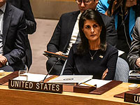 Никки Хейли на заседании СБ ООН