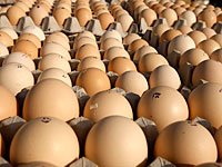 Минздрав изъял 225 тысяч яиц, зараженных сальмонеллой