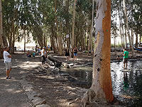 Наплыв посетителей в лесах и парках Израиля. Данные ККЛ  