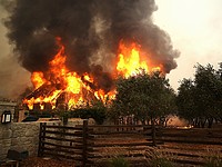 Лесные пожары в Калифорнии: 10 погибших, уничтожены 1,5 тысячи строений