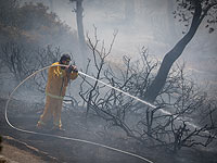 Лесной пожар возле поселка Долев, идет эвакуация жителей