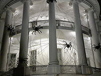 Белый дом накануне Хэллоуина опутали паутиной  