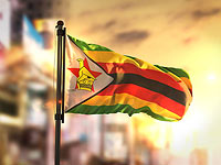 Правящая партия Зимбабве назначила Мнангагву временным президентом 