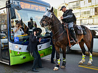 Люди, машины и лошади: акция протеста "харедим"