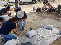 Сенсационная находка: около Ашдода обнаружена мозаика грузинской церкви VI века  