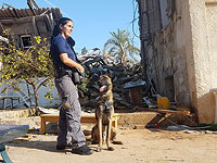 При расследовании пожара в Сдероте была задействована служебная собака