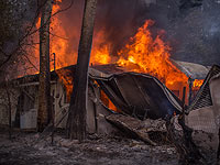 Пожары в Санта-Барбаре, сгорели почти 100 тысяч гектаров леса
