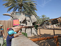 В Дубае открывается зоопарк, обошедшийся в миллиард дирхамов