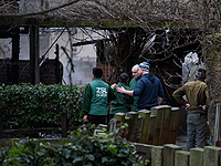 Пожар в лондонском зоопарке