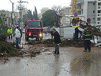 Непогода в Израиле: шторм на море, буря в городах. Фоторепортаж