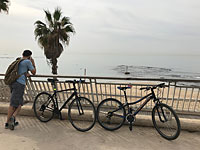 В Тель-Авиве муниципальные инспекторы будут забирать велосипеды у нарушителей
