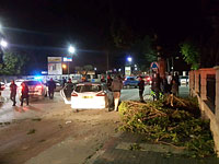 Хроника шторма: в Бейт-Шеане пострадали два человека в результате падения дерева