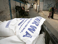 Нидерланды и Бельгия пришли на помощь UNRWA: они выделят агентству $38 млн   