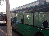 В Бат-Яме автобус задел столб с вывеской